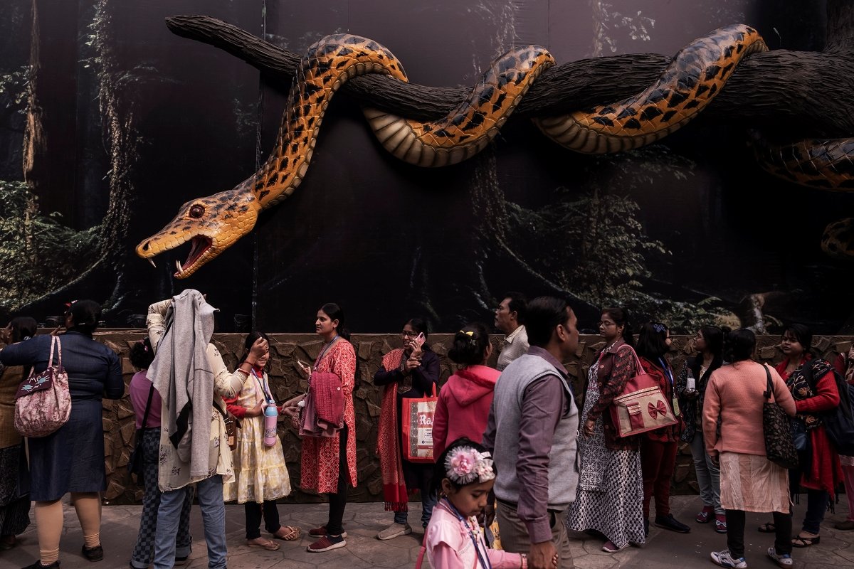 NASKAR_SUBHAJIT_IN THE FOREST OF LIES_IMAGE 5